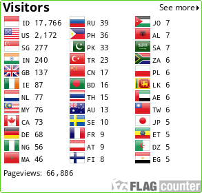 Flag Counter