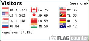 Flag Counter