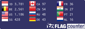 Flag Counter
