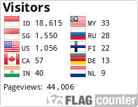 Flag Counter