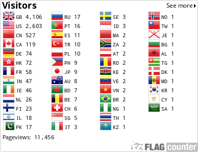 Flag Counter