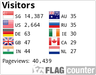 Flag Counter
