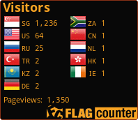 Flag Counter