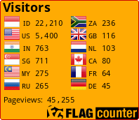 Flag Counter