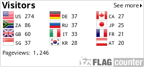 Flag Counter