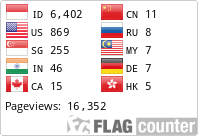 Flag Counter