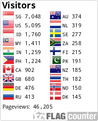 Flag Counter