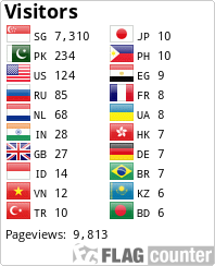 Flag Counter
