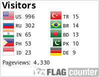 Flag Counter
