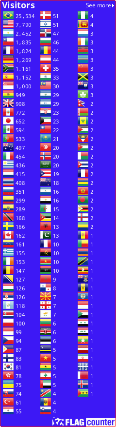 Flag Counter