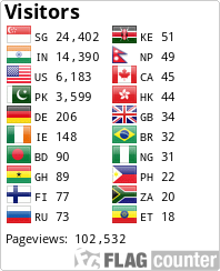 Flag Counter