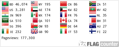 Flag Counter