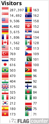 Flag Counter