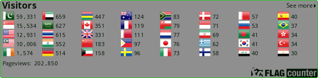 Flag Counter
