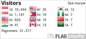 Flag Counter