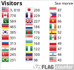 Flag Counter