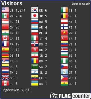 Flag Counter