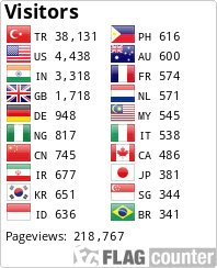 Flag Counter