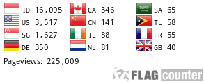 Flag Counter