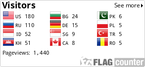 Flag Counter