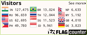 Flag Counter