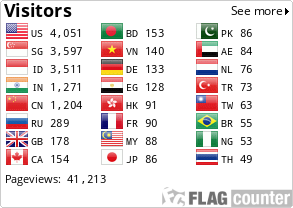 Flag Counter