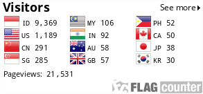 Flag Counter