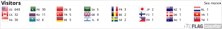 Flag Counter