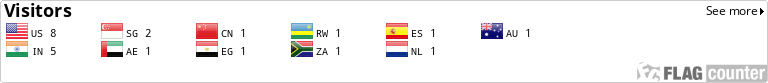 Flag Counter