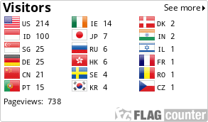 Flag Counter