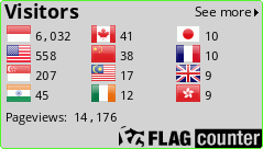 Flag Counter