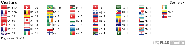 Flag Counter