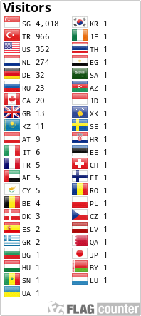 Flag Counter