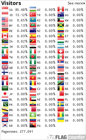 Flag Counter