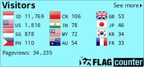 Flag Counter