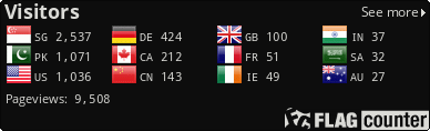 Flag Counter