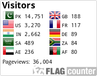 Flag Counter