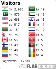Flag Counter