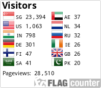 Flag Counter