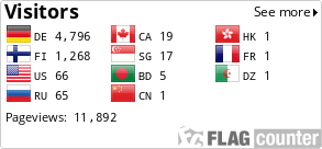 Flag Counter