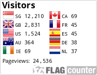 Flag Counter