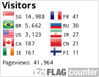 Flag Counter