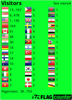 Flag Counter