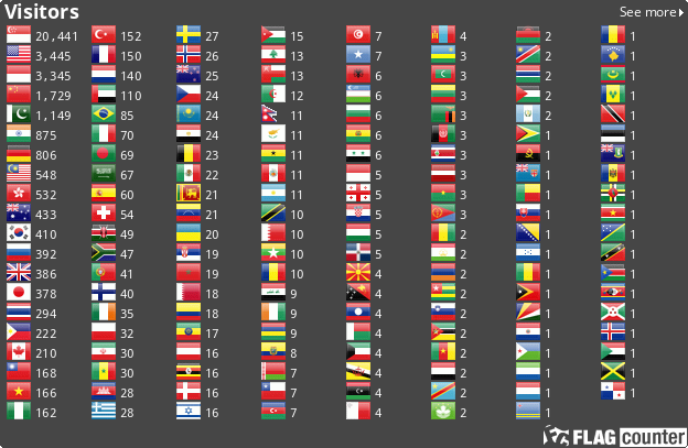 Flag Counter