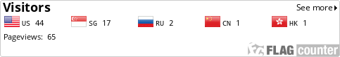Flag Counter