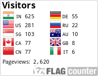 Flag Counter