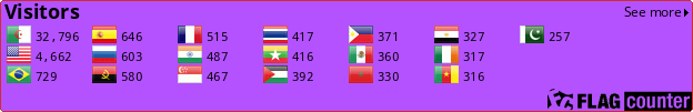Flag Counter