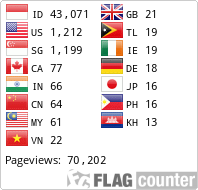 Flag Counter
