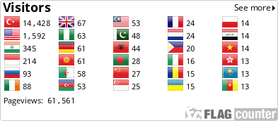 Flag Counter