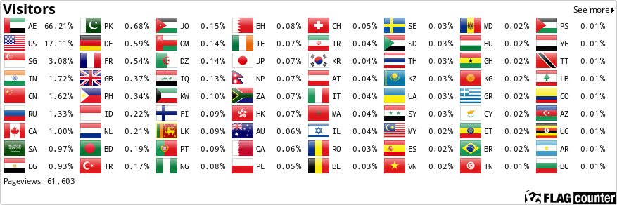Flag Counter